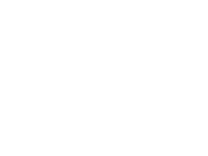 Jeff - NoLogo Picks