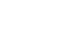 Tony - NoLogo Picks